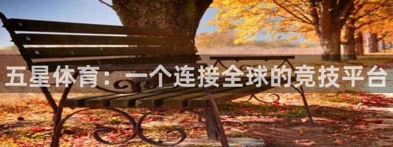 河豚河豚：五星体育：一个连接全球的竞技平台