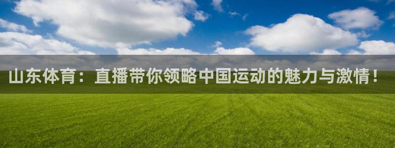 河豚体育直播nba：山东体育：直播带你领略中国运动的魅力与激情！