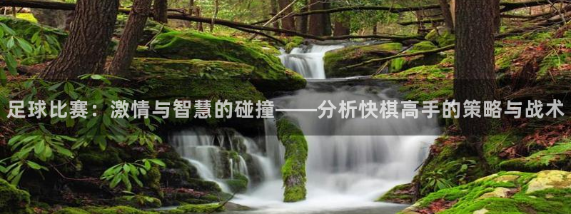 河豚搞笑：足球比赛：激情与智慧的碰撞——分析快棋高手的策略与战术