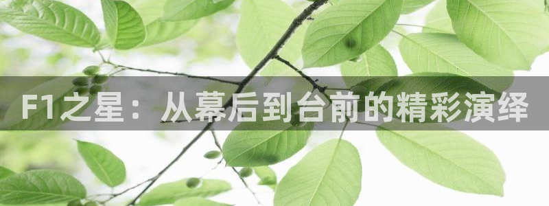河豚的直播网：F1之星：从幕后到台前的精彩演绎