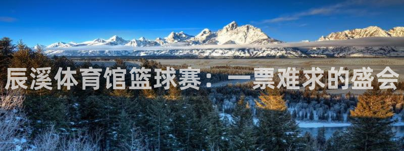 河豚体育直播cba免费下载：辰溪体育馆篮球赛：一票难求的盛会