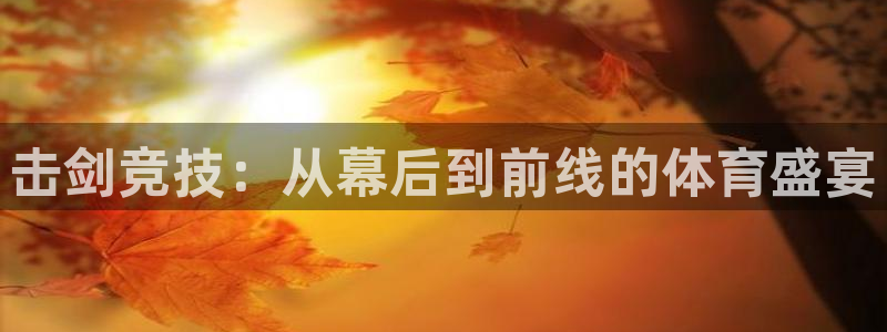 河豚足球直播网：击剑竞技：从幕后到前线的体育盛宴
