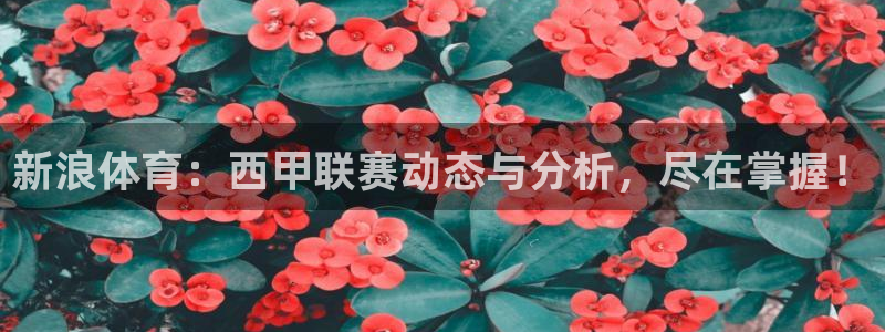 河豚体育app下载：新浪体育：西甲联赛动态与分析，尽在掌握！