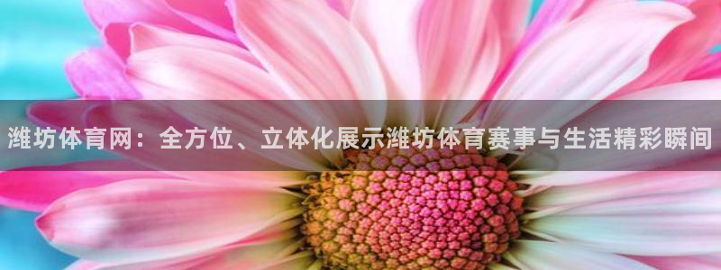 河豚体育直播免费观看：潍坊体育网：全方位、立体化展示潍坊体育赛事与生活精彩瞬间