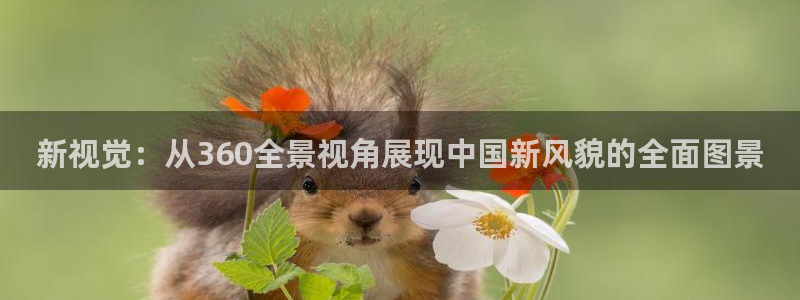 河豚足球直播：新视觉：从360全景视角展现中国新风貌的全面图景