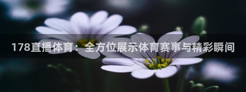 河豚篮球赛事直播：178直播体育：全方位展示体育赛事与精彩瞬间