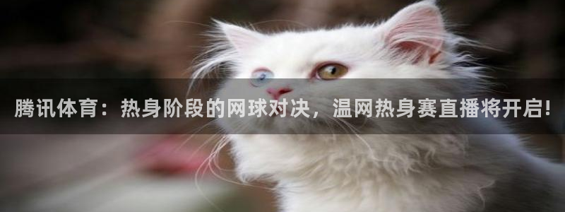 河豚体育直播