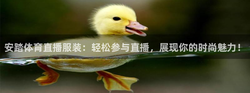 河豚体育直播app下载