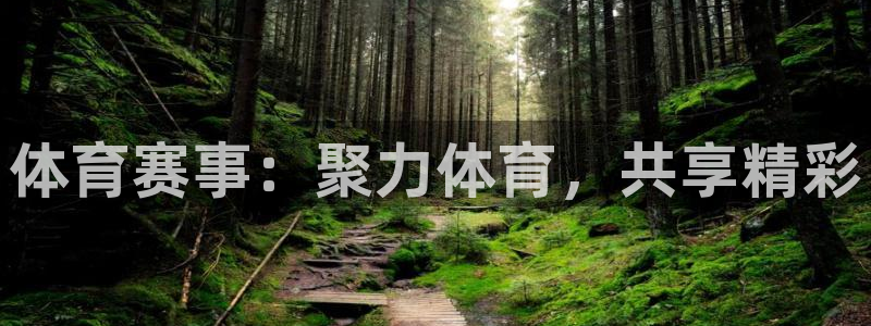 河豚体育直播