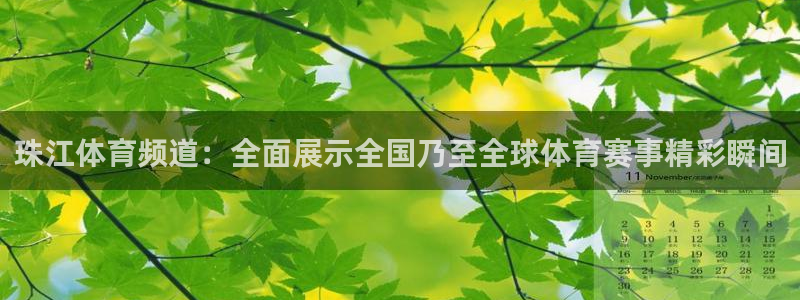 河豚体育直播在线播放：珠江体育频道：全面展示全国乃至全球体育赛事精彩瞬间